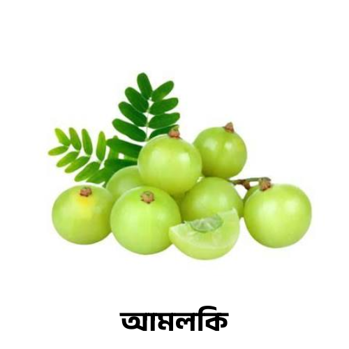 আমলকি