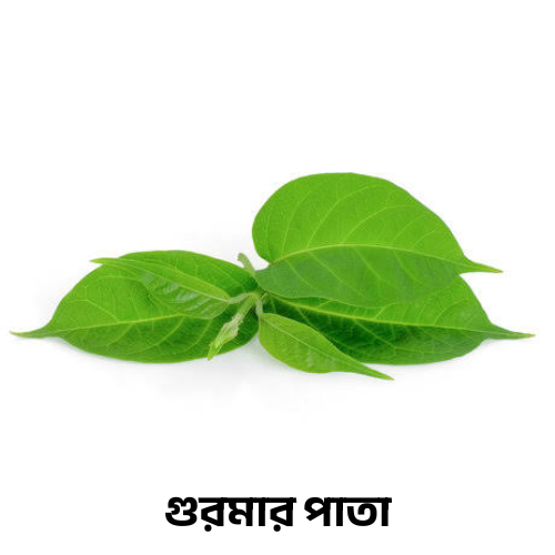 গুরমার পাতা