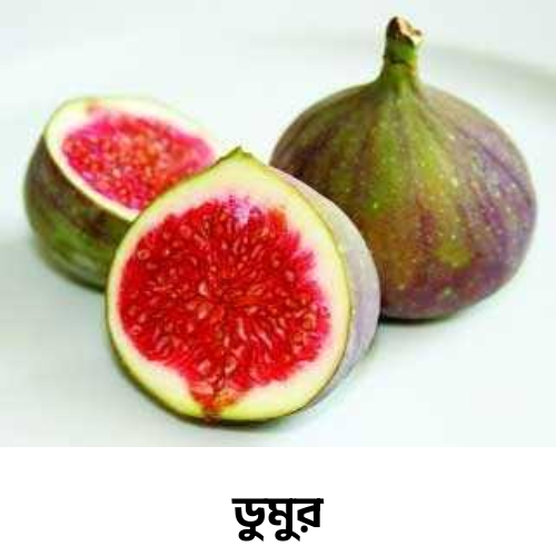 ডুমুর