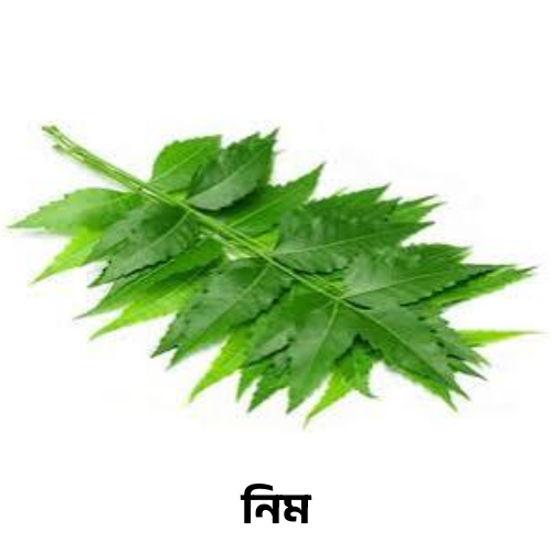 নিম